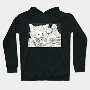 Mother and baby cat Hoodie